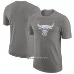 Camiseta Manga Corta Chicago Bulls Ciudad 2023-24 Gris