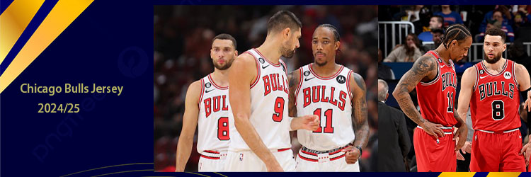 Camiseta Chicago Bulls