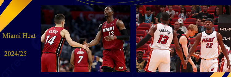 Camiseta Miami Heat Baratas