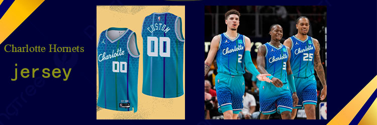 Camiseta Personalizada Charlotte Hornets