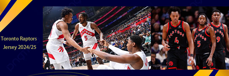 Camiseta Toronto Raptors