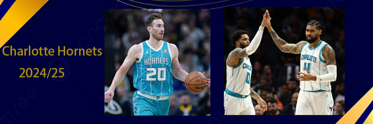 Replicas Camiseta Charlotte Hornets