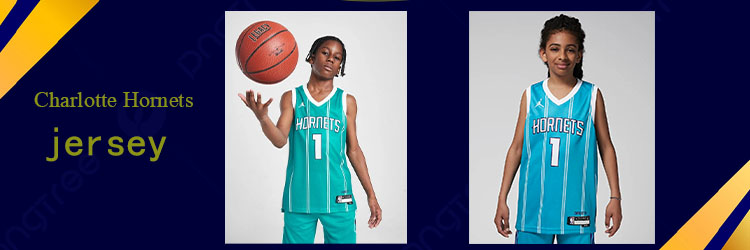 camiseta Nino Charlotte Hornets